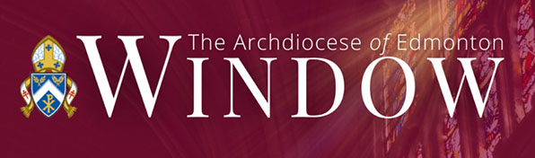 window logo